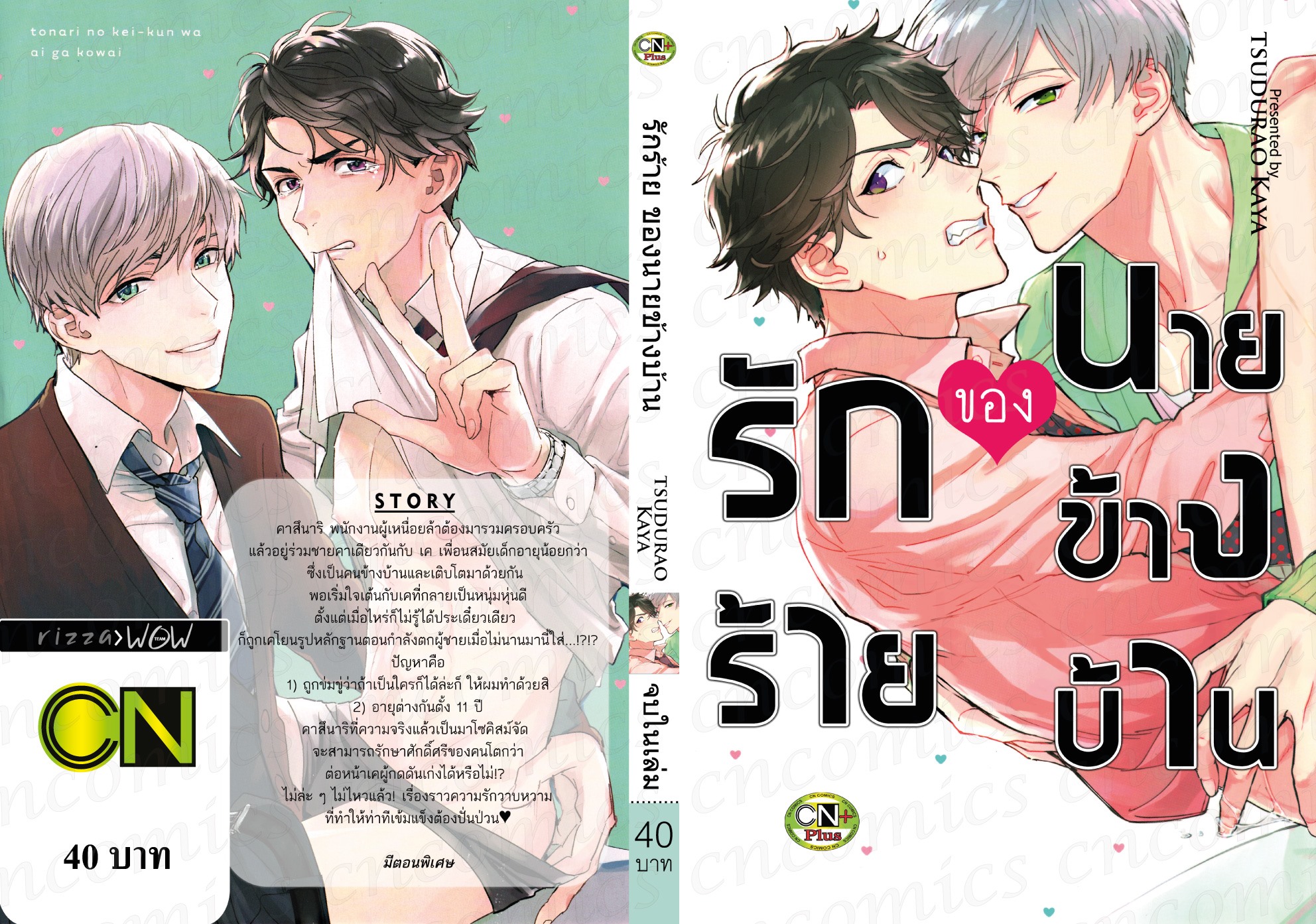 รักร้ายของนายข้างบ้าน: TSUDURAO KAYA