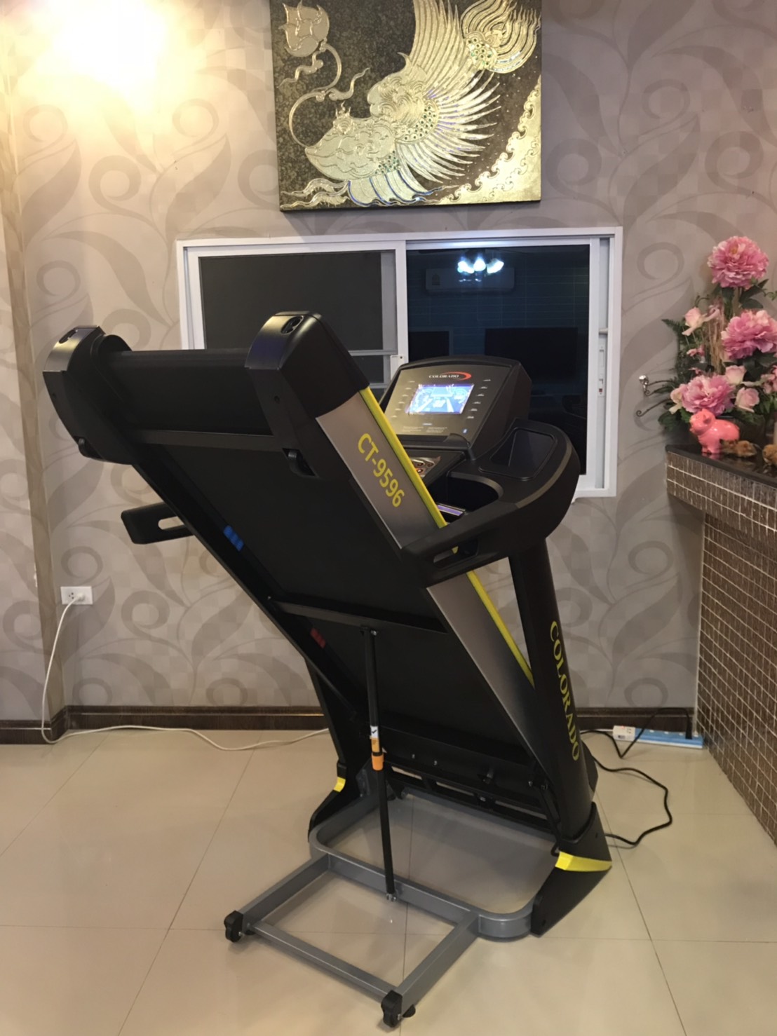 ลู่วิ่งไฟฟ้า Colorado รุ่น 9596