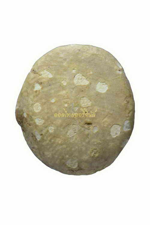 พระสังกัจจาย กรุวัดอัมพวา เนื้อผง 63031451