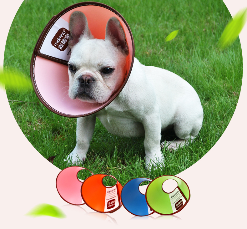 ปลอกคอกันเลียแบบสีๆ ขนาด A1 สีชมพู