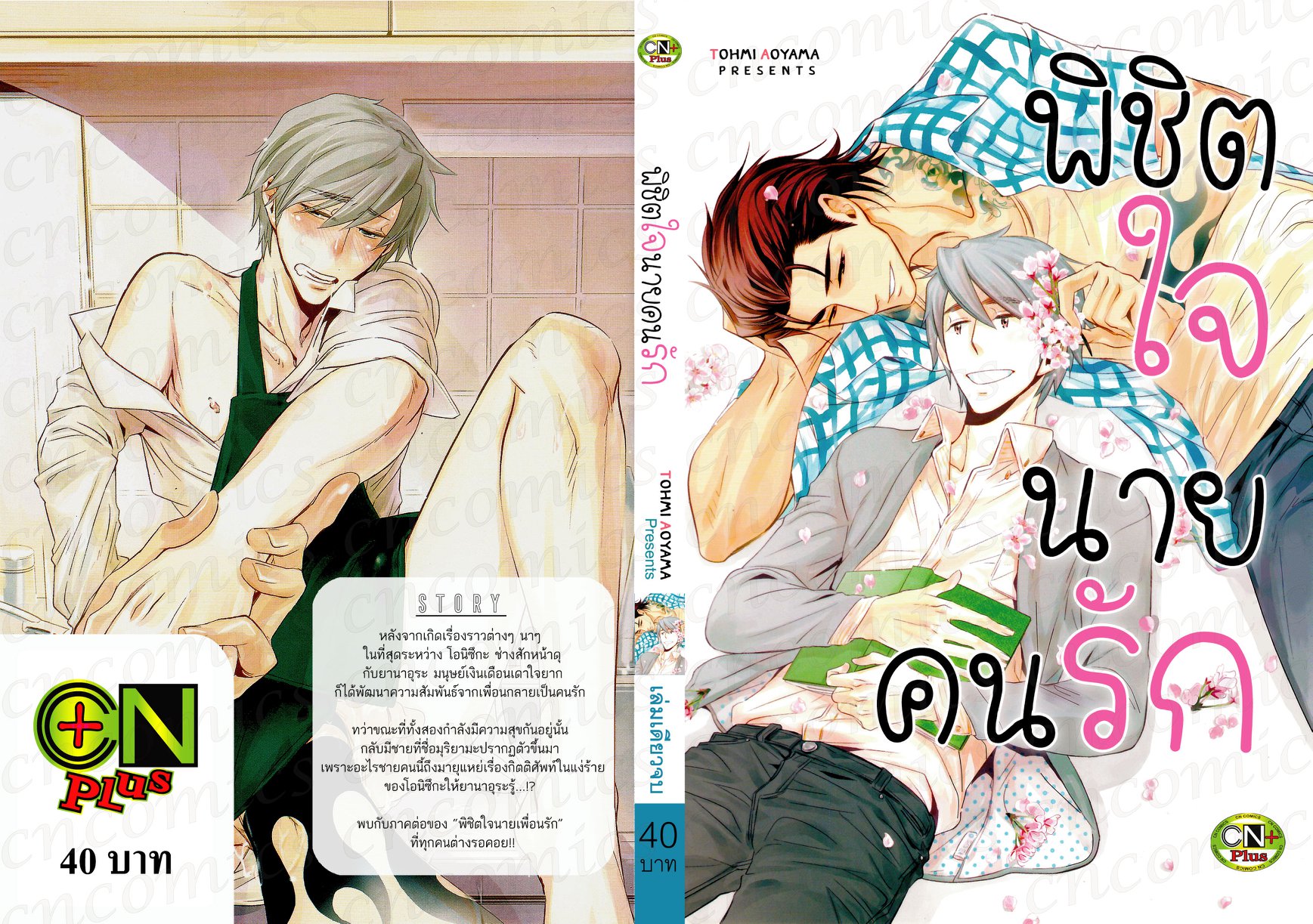พิชิตใจนายคนรัก : TOHMI AOYAMA