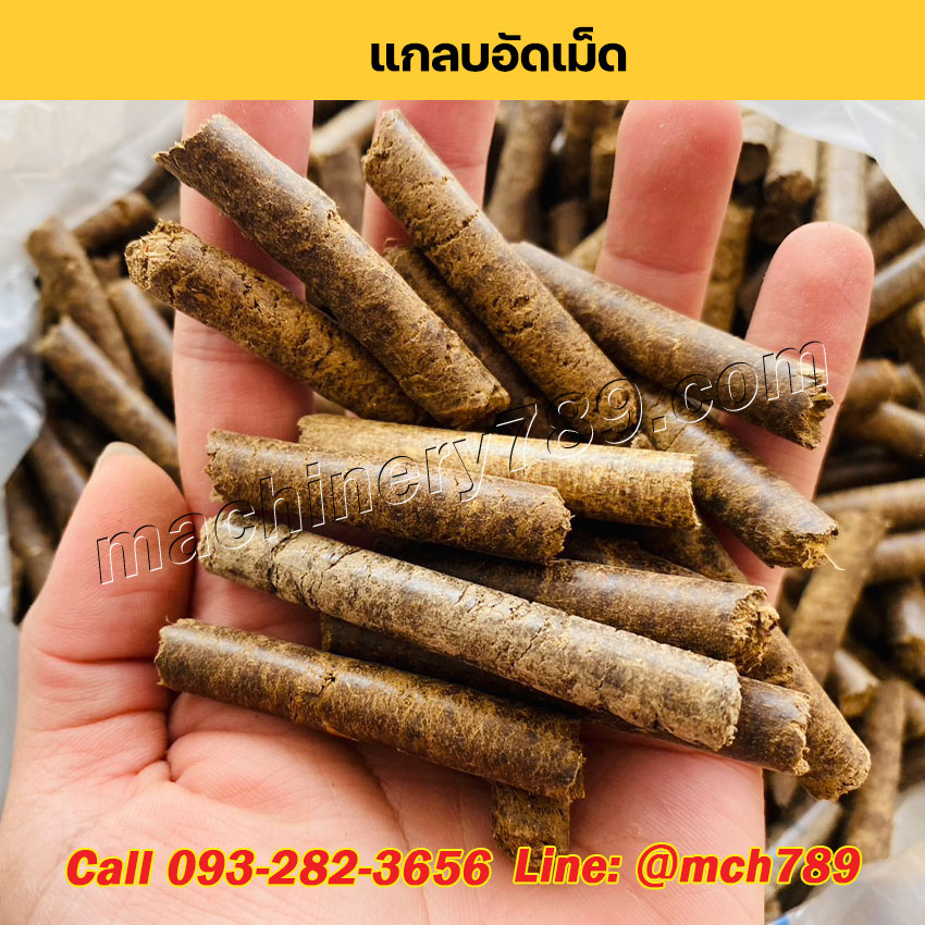เครื่องอัดเม็ดเชื้อเพลิงชีวมวลขนาดเล็ก MINI กำลังผลิตเริ่มต้น 150-1,200 กก./ชม. เครื่องอัดเม็ดเชื้อเพลิงชีวมวล เครื่องอัดแท่งชีวมวล เครื่องอัดเม็ดรุ่นเล็ก Mini Wood Pellet Making Machine