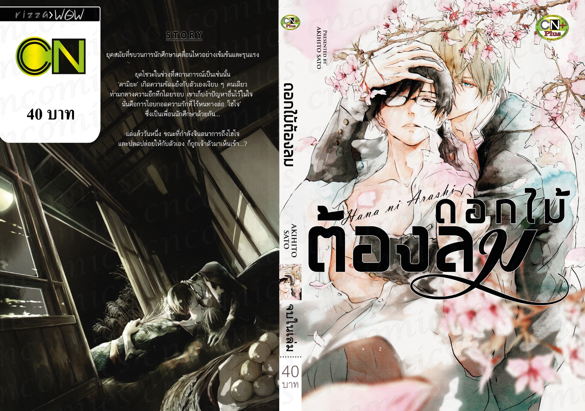 ดอกไม้ต้องลม Hana ni Arashi : AKIHITO SATO