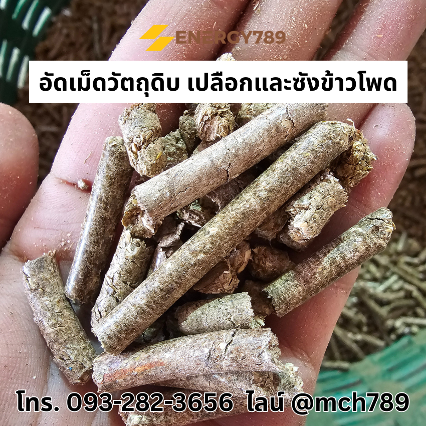 เครื่องอัดเม็ดเชื้อเพลิงชีวมวล รุ่น NaturePress-2 7.5KW/380V เครื่องอัดเม็ดเชื้อเพลิงชีวมวล เครื่องอัดแท่งชีวมวล เครื่องอัดเม็ดรุ่นเล็ก Wood pellet mill