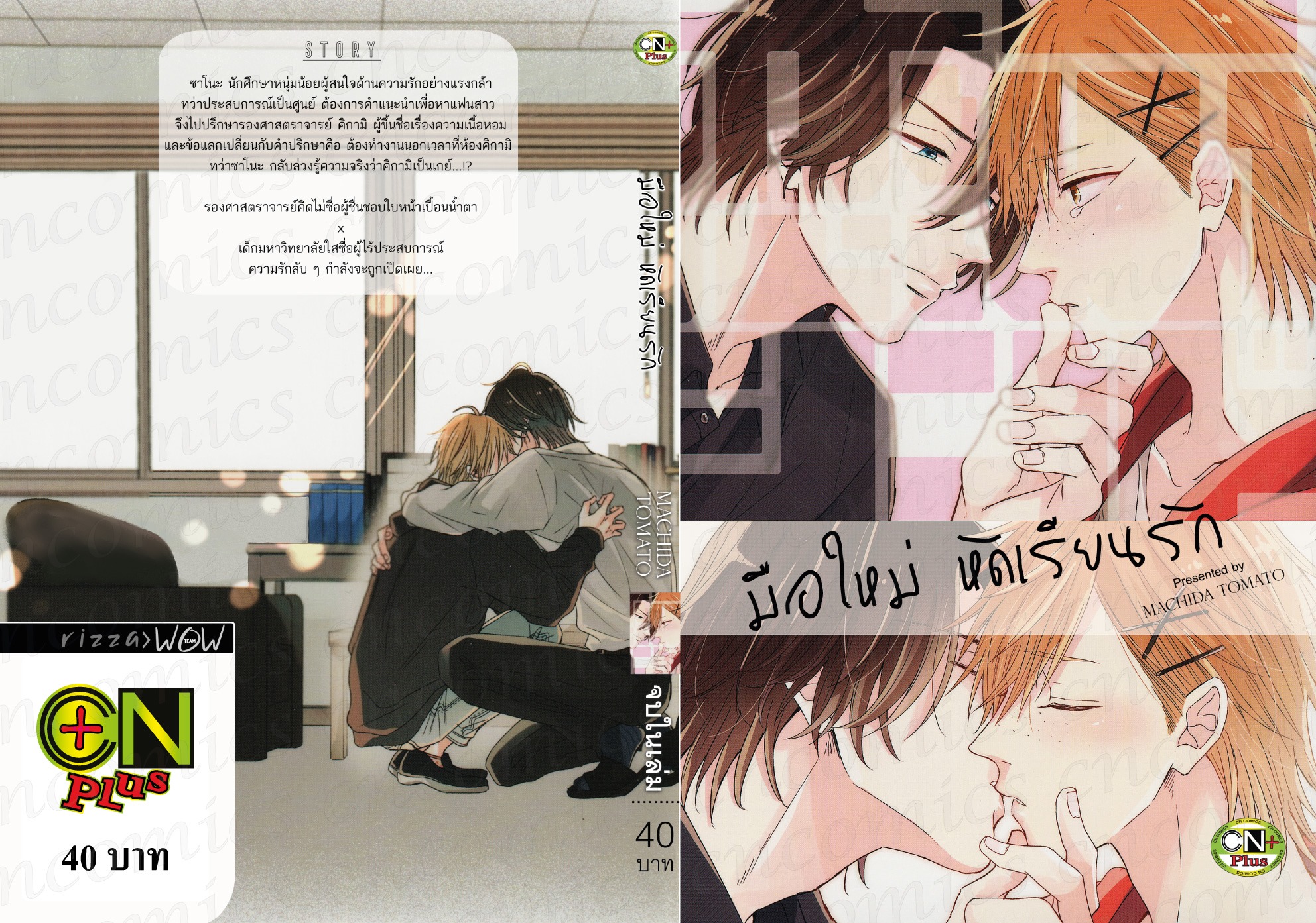 มือใหม่ หัดเรียนรัก : MACHIDA TOMATO