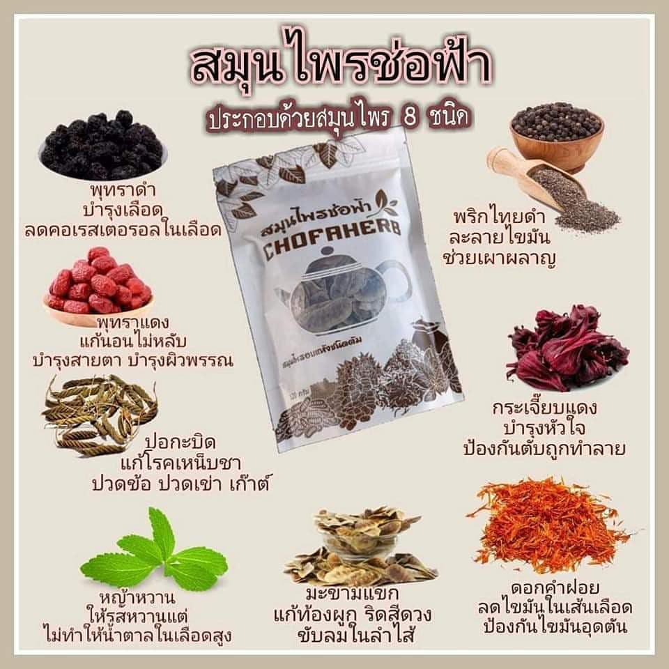 สมุนไพรช่อฟ้า