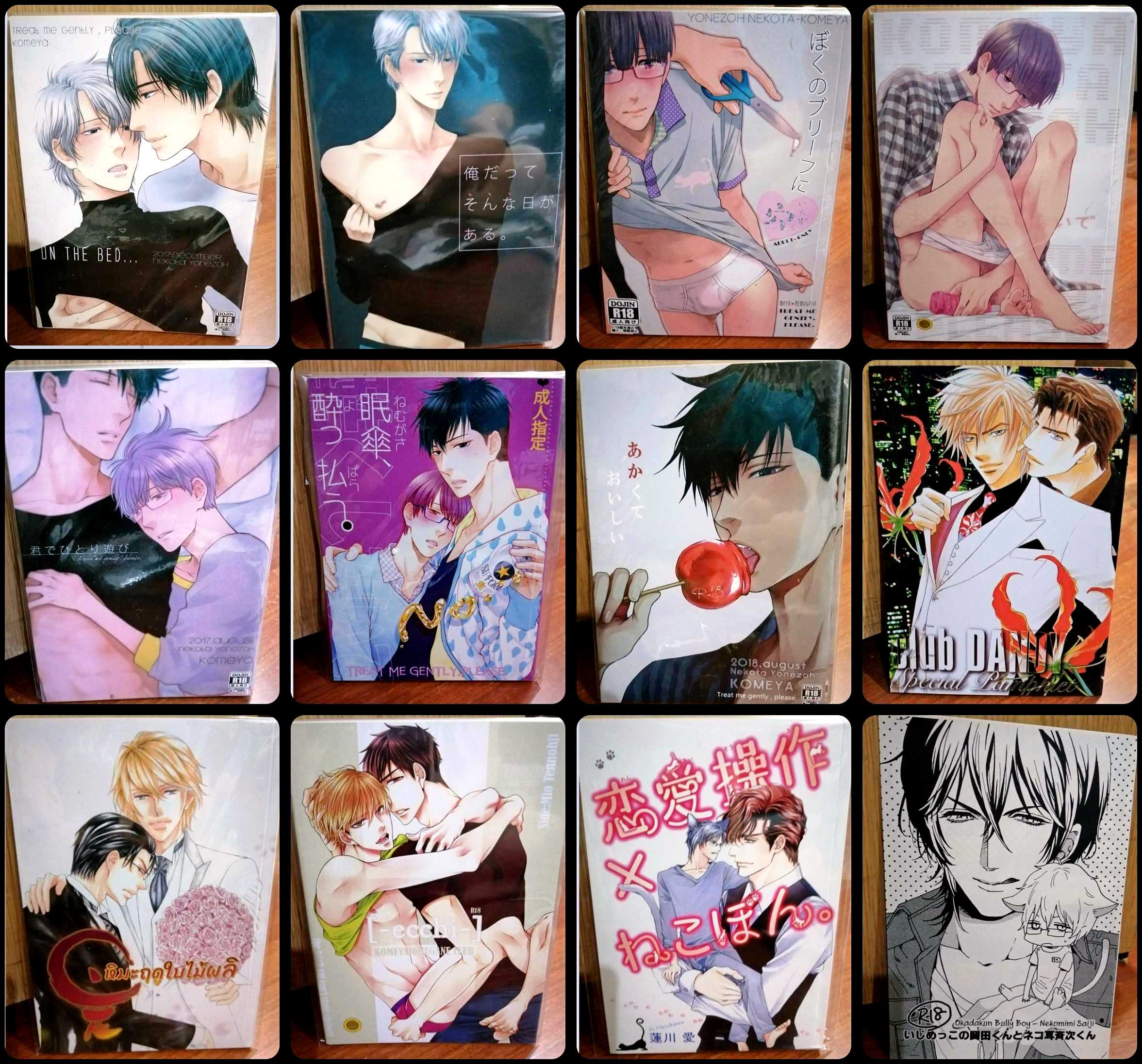 (แยกเล่ม) โดจินวาย สายสะสม