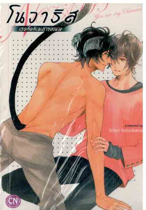 โนวาริส เธอคือคิเมล่าของผม : Shiori Natsukawa