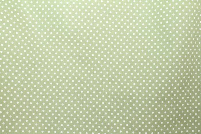 SK-204 กระโปรงแฟชั่น&ทำงาน ทรงสอบ ผ้าคอตต้อนญี่ปุ่นสีเขียวพาสเทล ด้านหน้ากระโปรงจับจีบระบาย