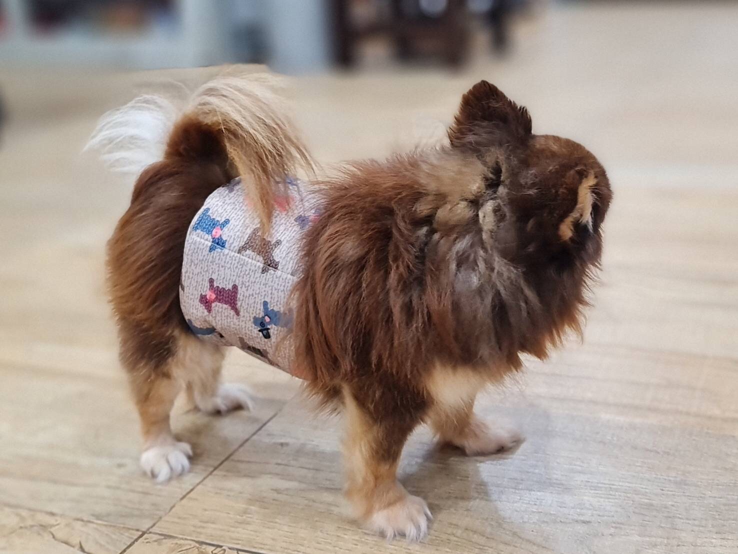 โอบิแบบซักได้ สำหรับสุนัขเพศผู้ ไซส์M ลายน้องหมา (รวมส่ง)