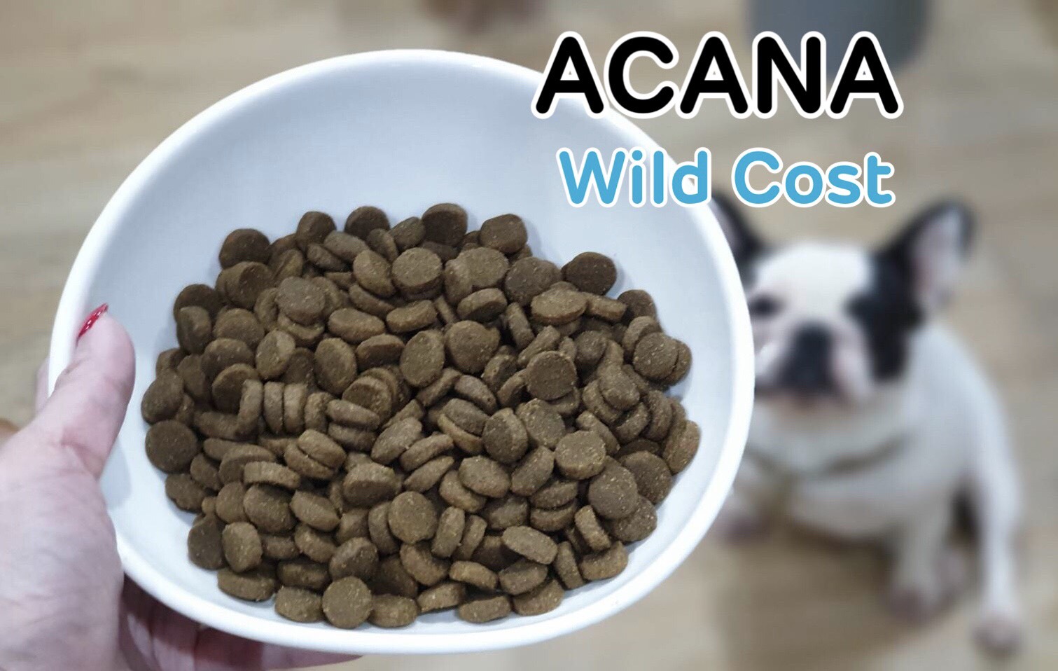 ACANA ขนาด 11.4kg. สูตs Wild Coast (รวมส่ง)