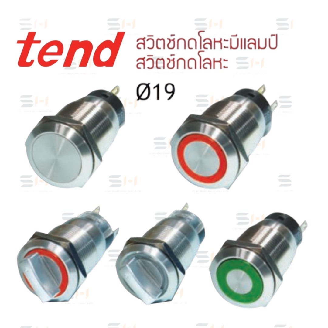 สวิทช์กดโลหะ METAL PUSH BUTTON SWITCH, สวิทช์กดโลหะมีแลมป์ ILLUMINATED METAL PUSH BUTTON SWITCH (TEND) TT19 series