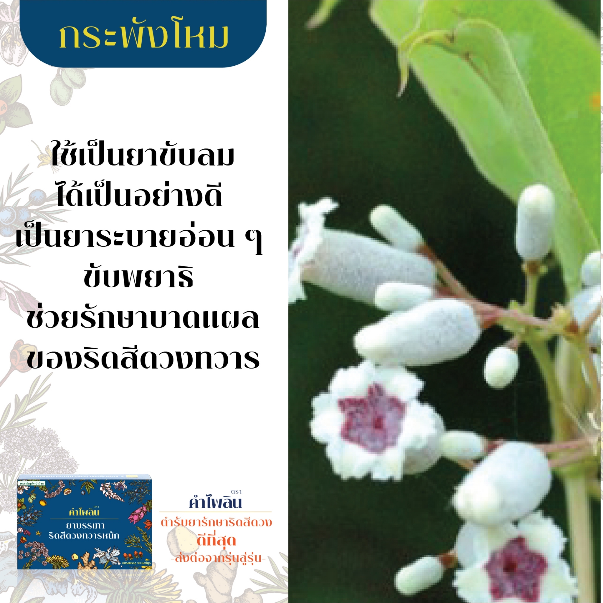 ยารักษาริดสีดวง