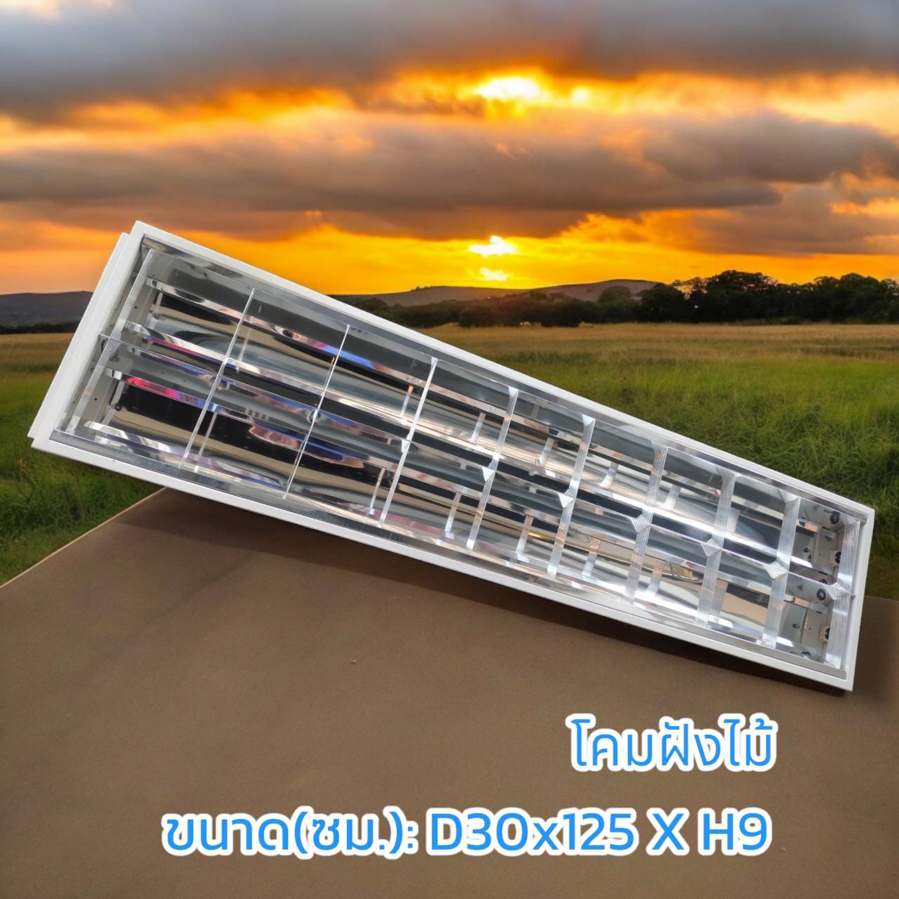 โคมตะแกรงชนิดฝังฝ้า ขนาด 30x 120 ซม. รองรับ T8 2ดวง บรรจุ 5โคม