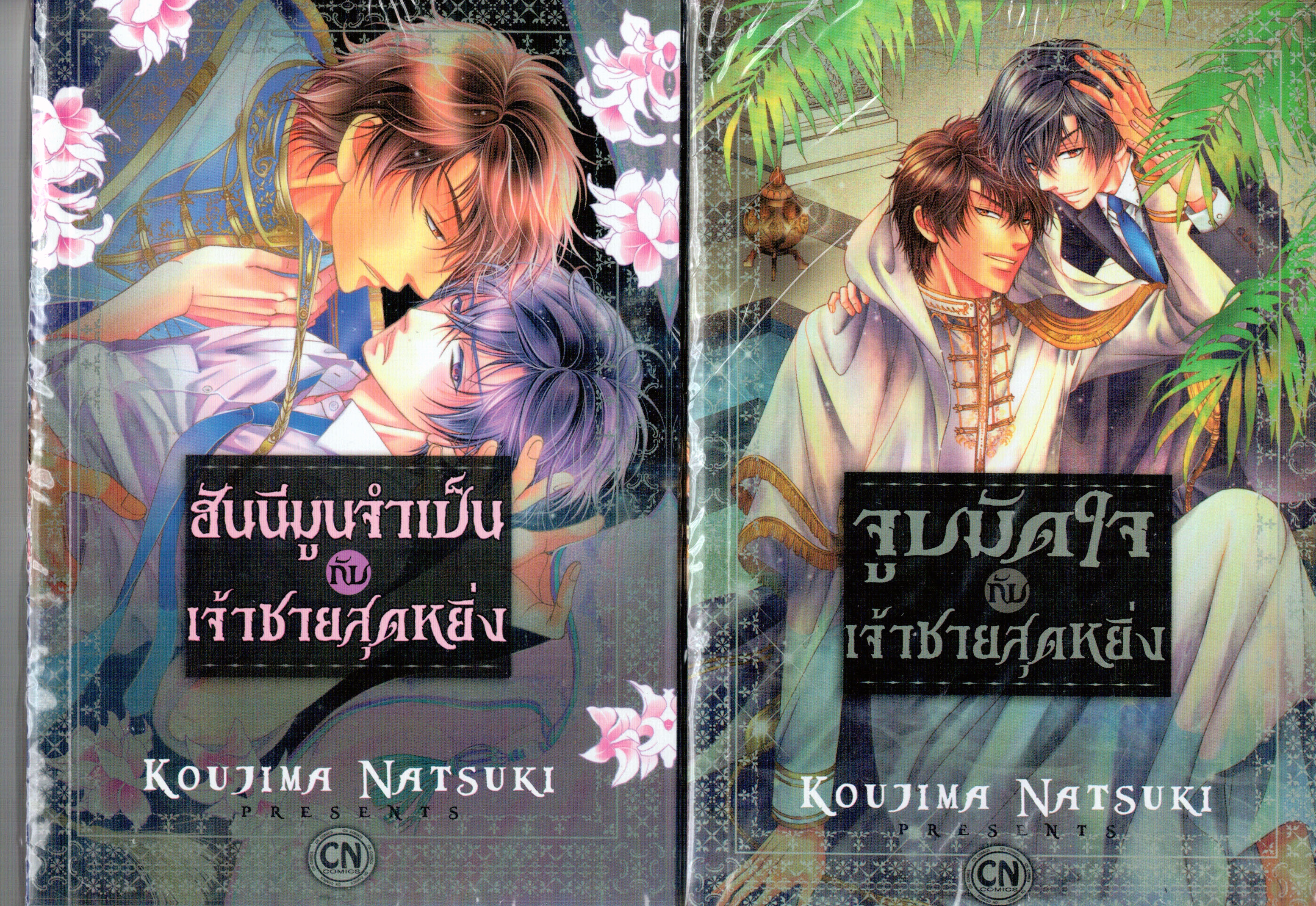 จูบมัดใจกับเจ้าชายสุดหยิ่ง + ฮันนีมูนจำเป็นกับเจ้าชายสุดหยิ่ง : KOUJIMA NATSUKI