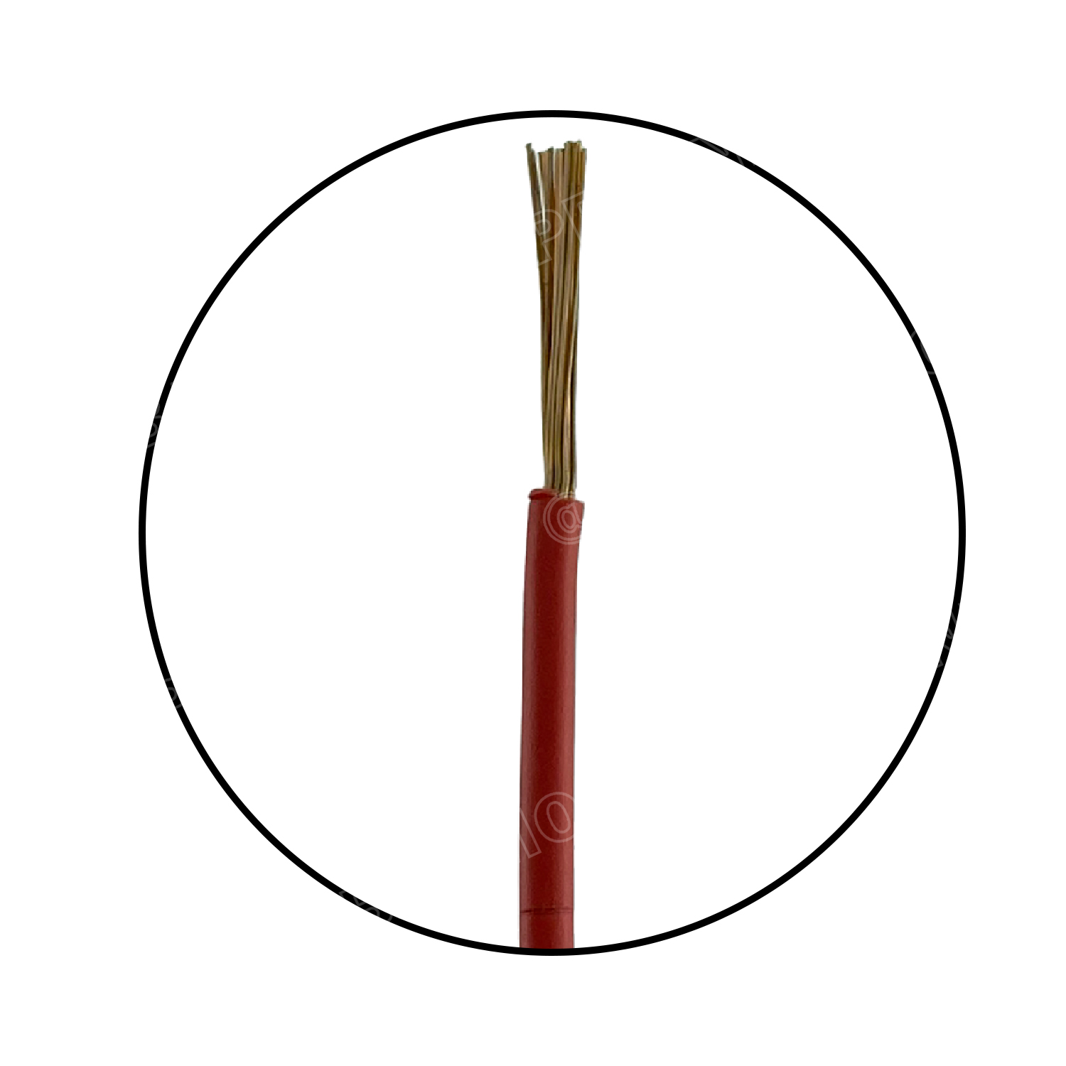 [ 100 เมตร ] SJK 7C x 0.75 Sq.mm. สายมัลติคอร์ 7 คอร์ Multicore Cable สาย AV Control Cable SJK สาย คอนโทรล 0.75 sq.mm. Multi Core Cable 0.75mm² Control Signal Power Control Cable Control Wire สายคอนโทรล สายมัลติคอ สายสัญญาณ สายคอนโทรล เบอร์ 0.75 มม²