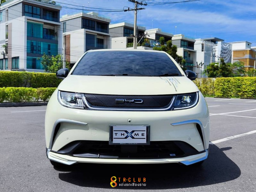 ชุดแต่งรอบคัน X-THEME : BYD DOLPHLIN