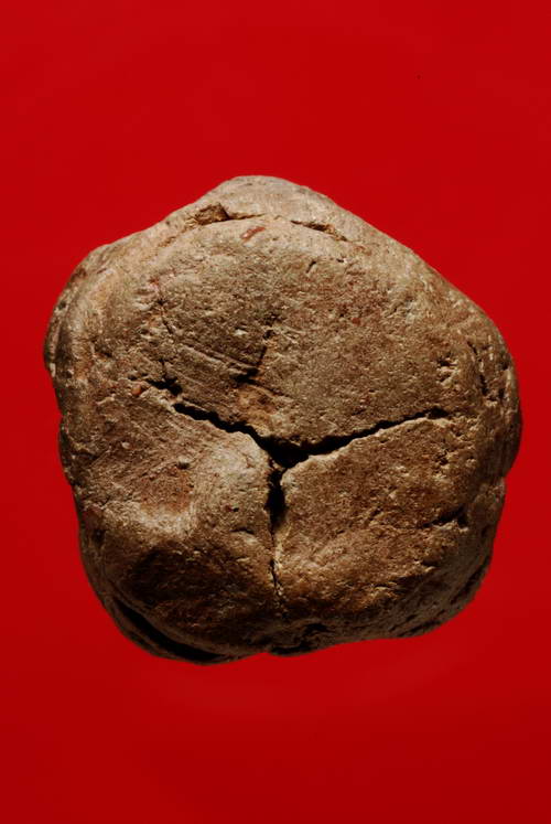 พระเจ้าห้าพระองค์ กรุนางเหลียว-นางแล เนื้อดิน แพร่