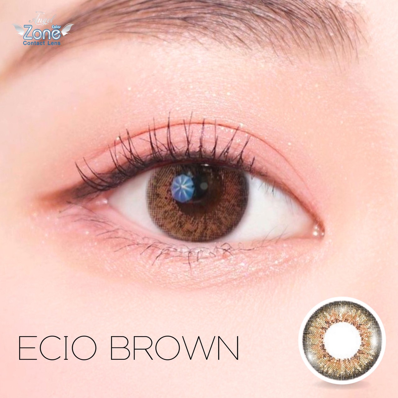 AZ100 รุ่น 14.5 Ecio Brown Step 1-2 AZN Y