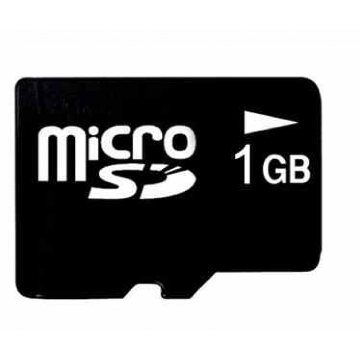 Micro SD Card 1GB