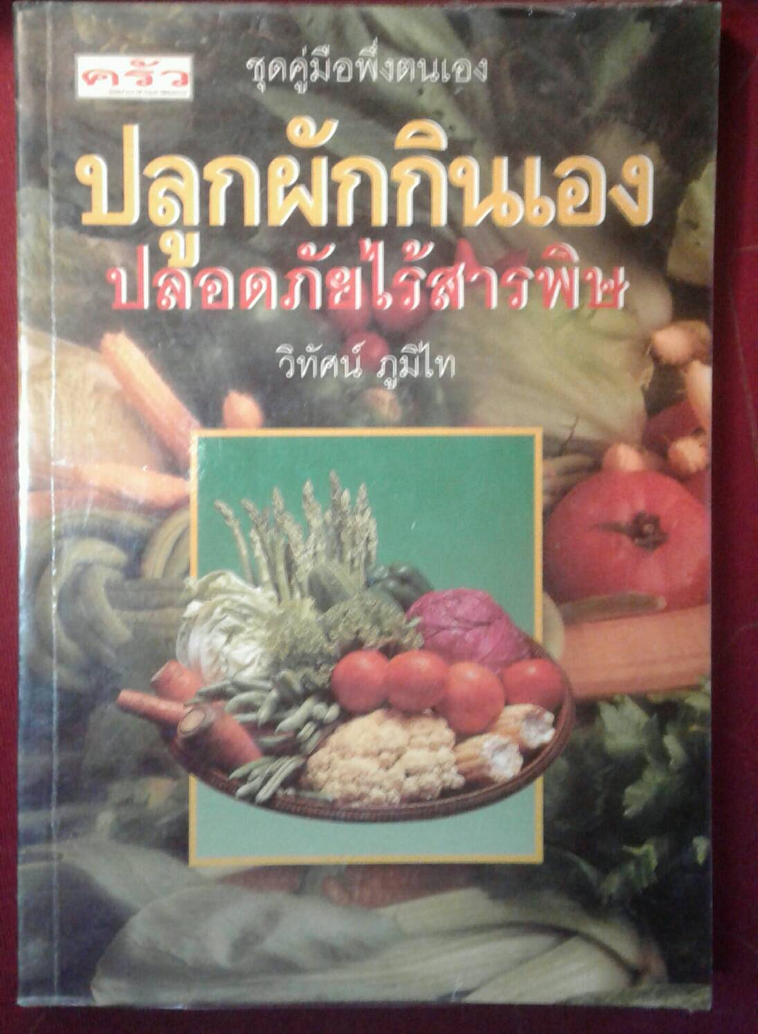 ปลูกผักกินเอง ปลอดภัยไร้สารพิษ : วิทัศน์ ภูมิไท
