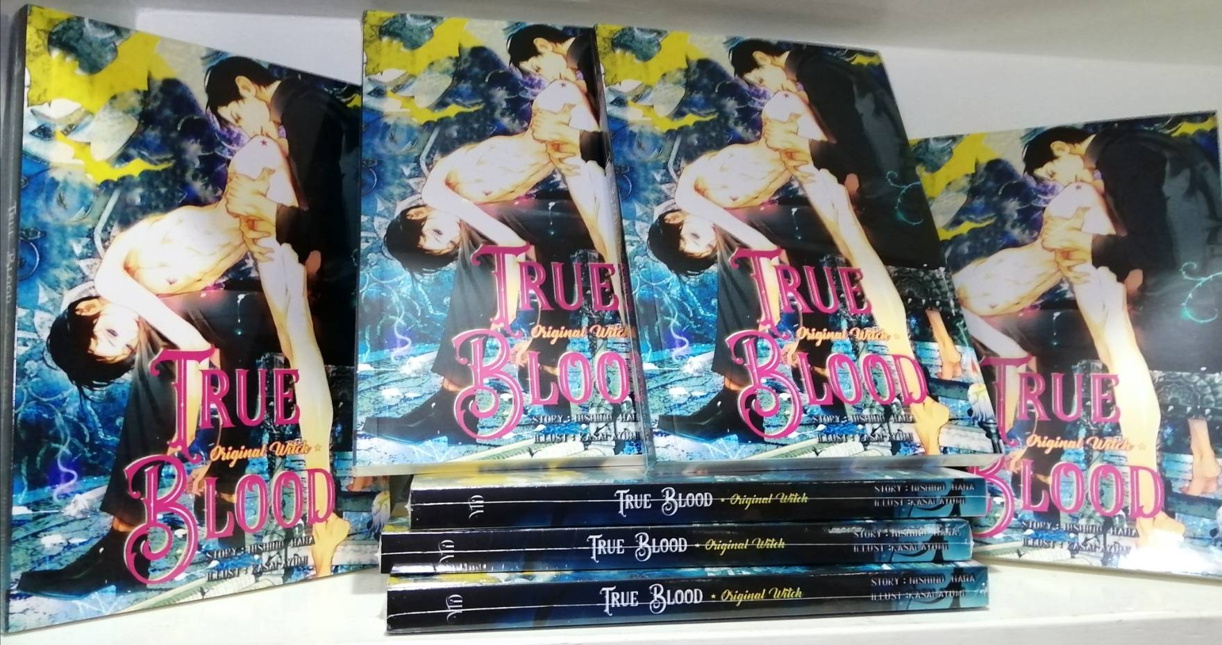 True Blood ～Original Witch ～ พันธนาการแม่มด : Nishino Hana / Illust : Kasai Ayumi