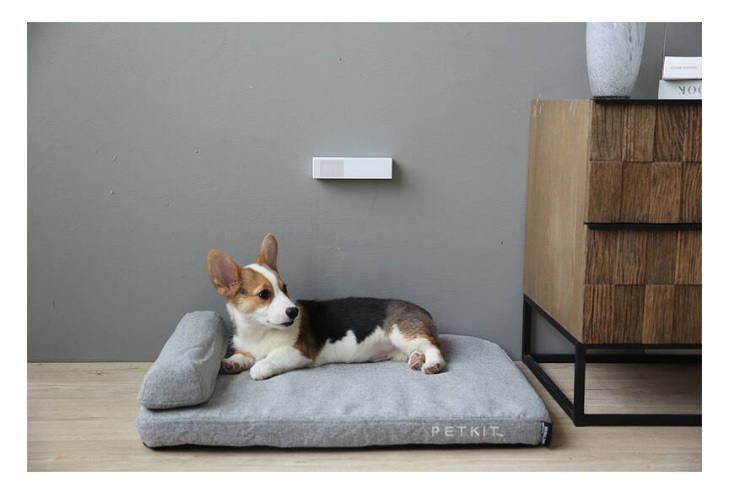 เครื่องกำจัดกลิ่น Petkit Smart Odor Eliminator ป้องกันกลิ่นเหม็นจากตัวคุณและสัตว์เลี้ยง (PKOE1012W)