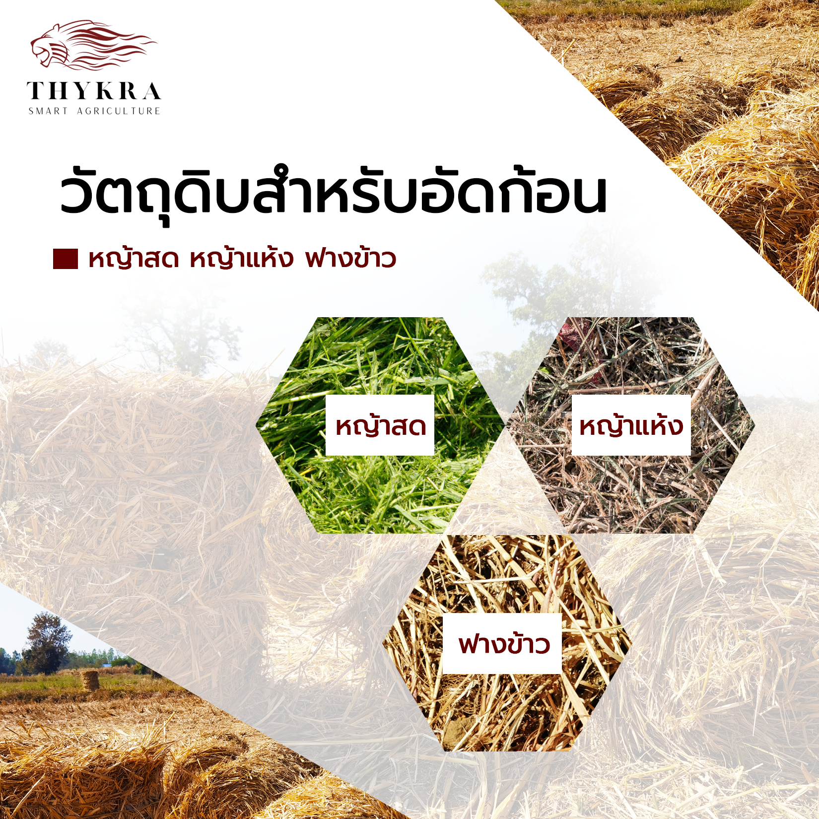เครื่องอัดฟางก้อนทรงสี่เหลี่ยม รุ่น 190 (กำลังผลิต 300-400 ก้อน/ชั่วโมง) เครื่องอัดฟางข้าว เครื่องม้วนฟาง เครื่องอัดฟางก้อนกลม รถอัดฟาง ที่อัดฟาง เครื่องอัดก้อน เครื่องอัดหญ้าแห้ง เครื่องอัดฟางราคาถูก Square Balers