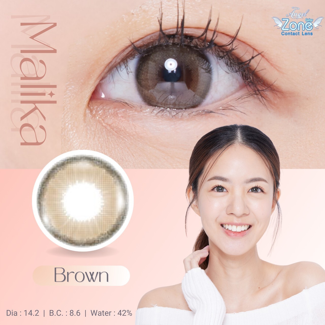 AZP02 รุ่น 14.2 Malika Brown (Luxury Silverbox) Step 1-3 AZP Y