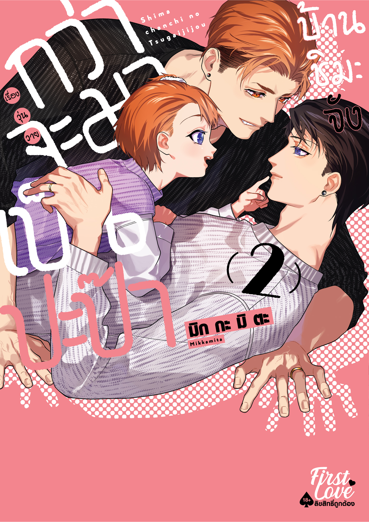 กว่าจะมาเป็นปะป๊าบ้านชิมะจัง เล่ม 2