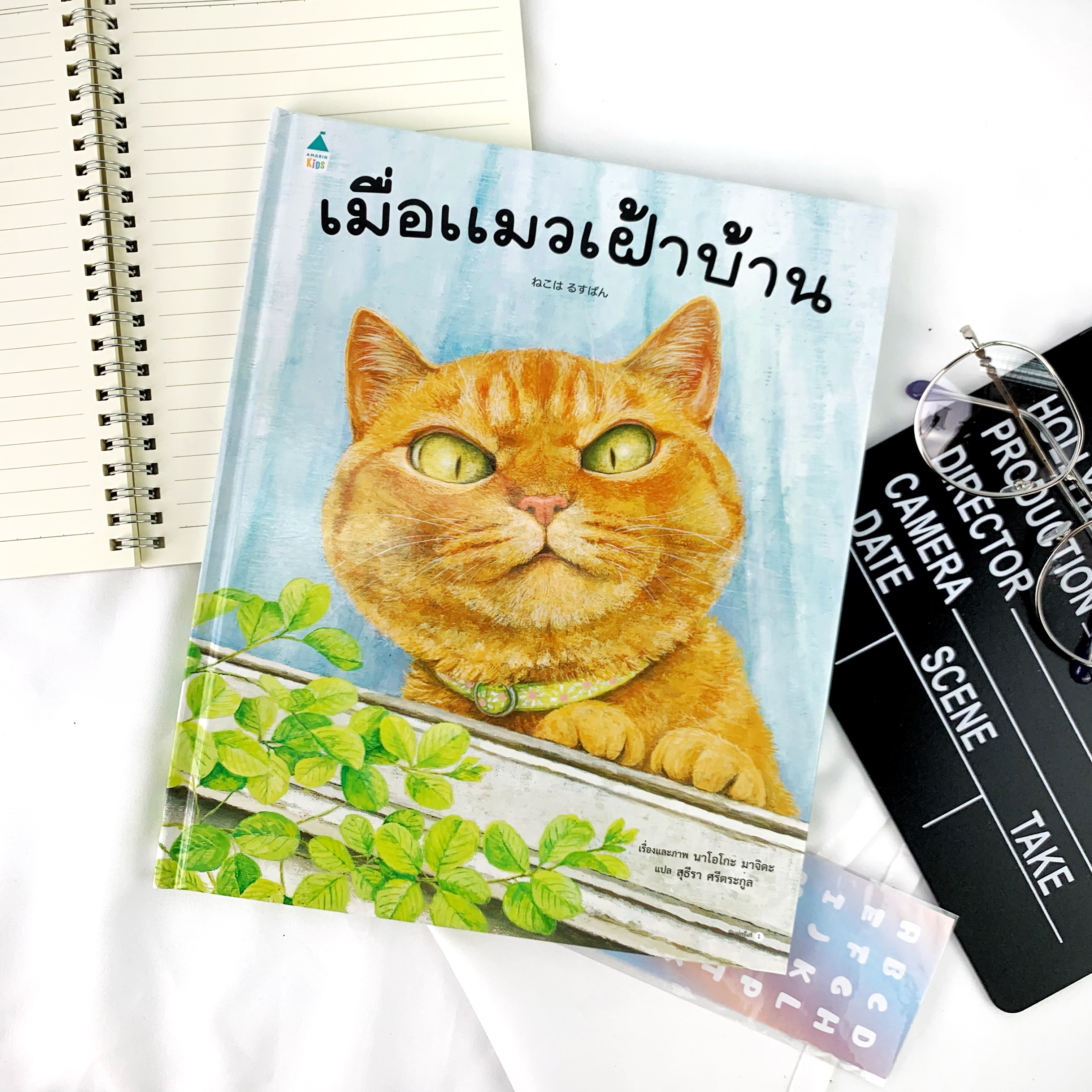 หนังสือนิทาน เมื่อแมวเฝ้าบ้าน (ปกแข็ง)