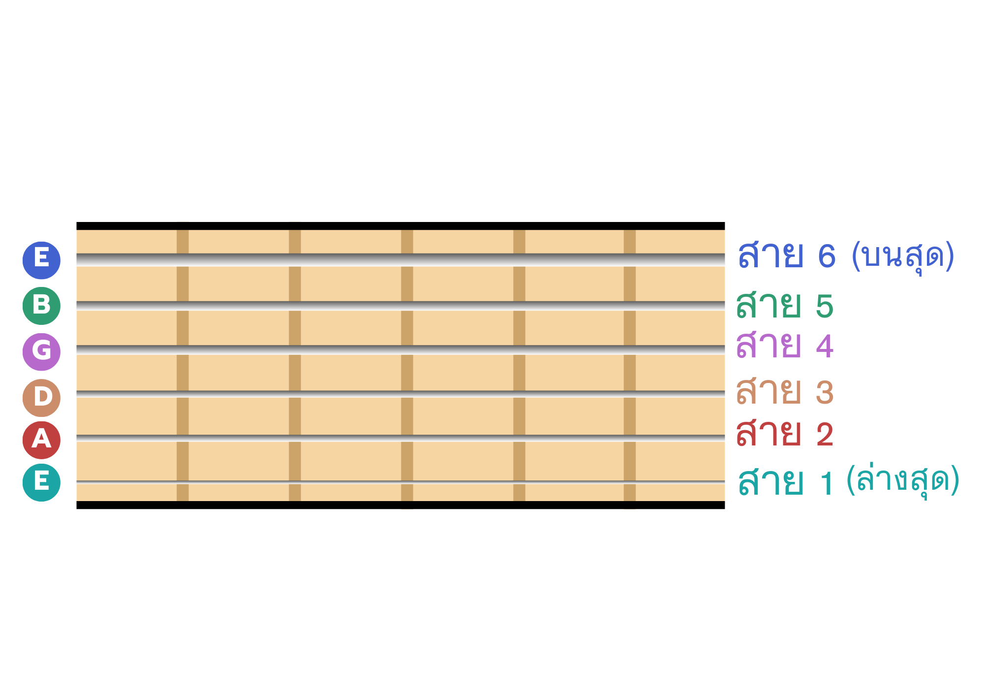 สายกีต้าร์โปร่งไฟฟ้าแบบชุดและแบบแยกสาย Gibson