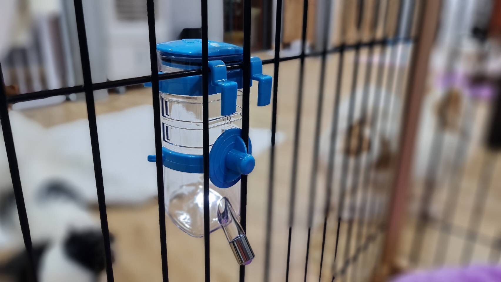 💦🐶 ขวดน้ำสัตว์เลี้ยง แบบแขวน สีฟ้า (ราคารวมส่ง)