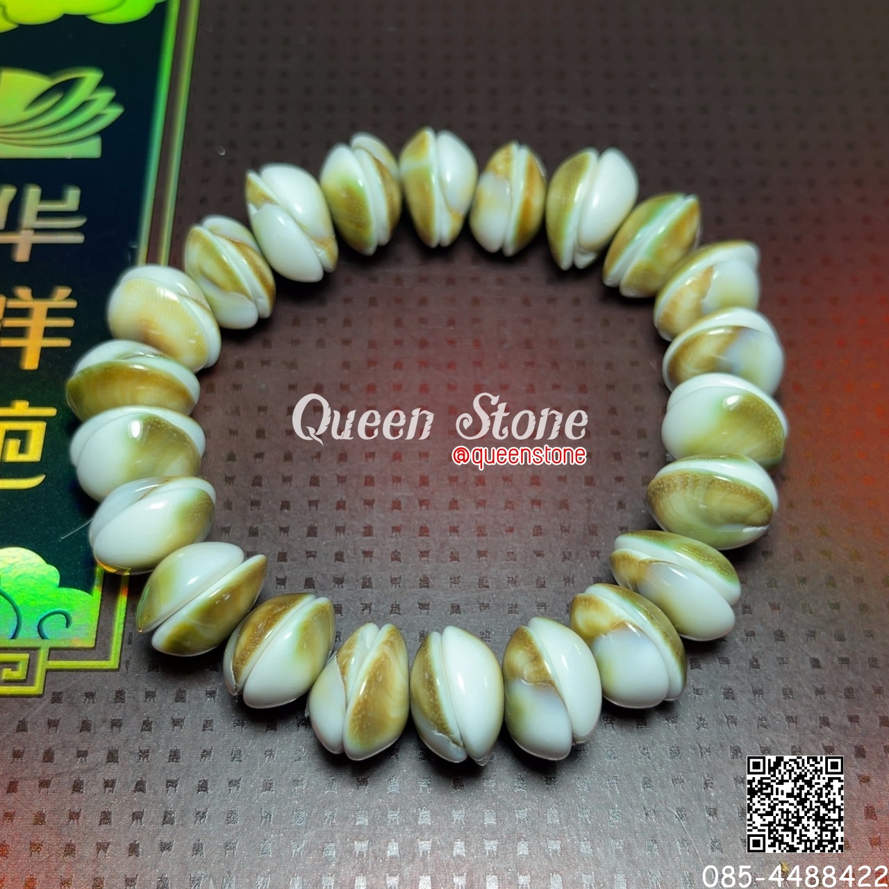 เปลือกหอยเลข ๑ 12 มิล (High Quality) ที่ 1 ทุกด้าน