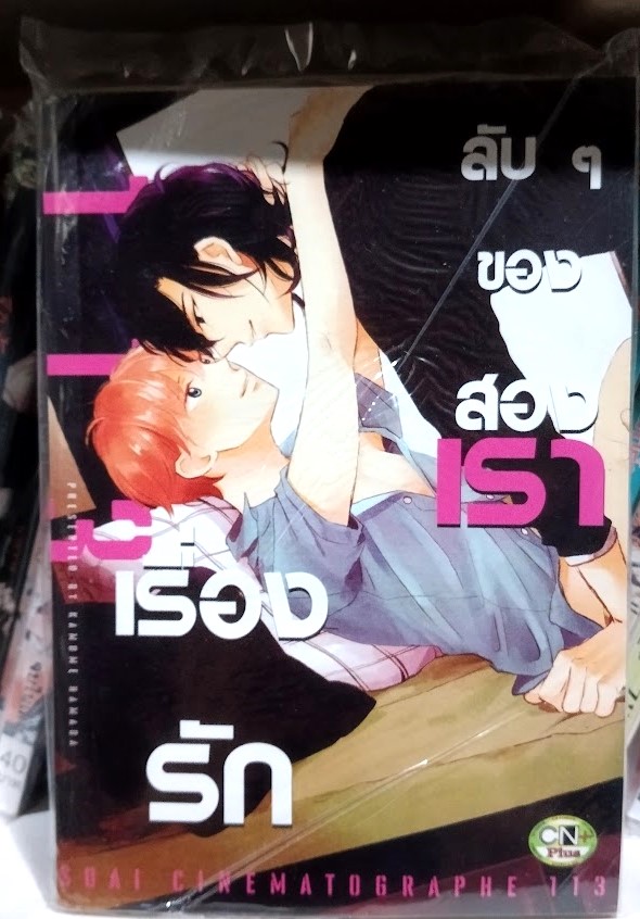 เรื่องรักลับๆ ของสองเรา