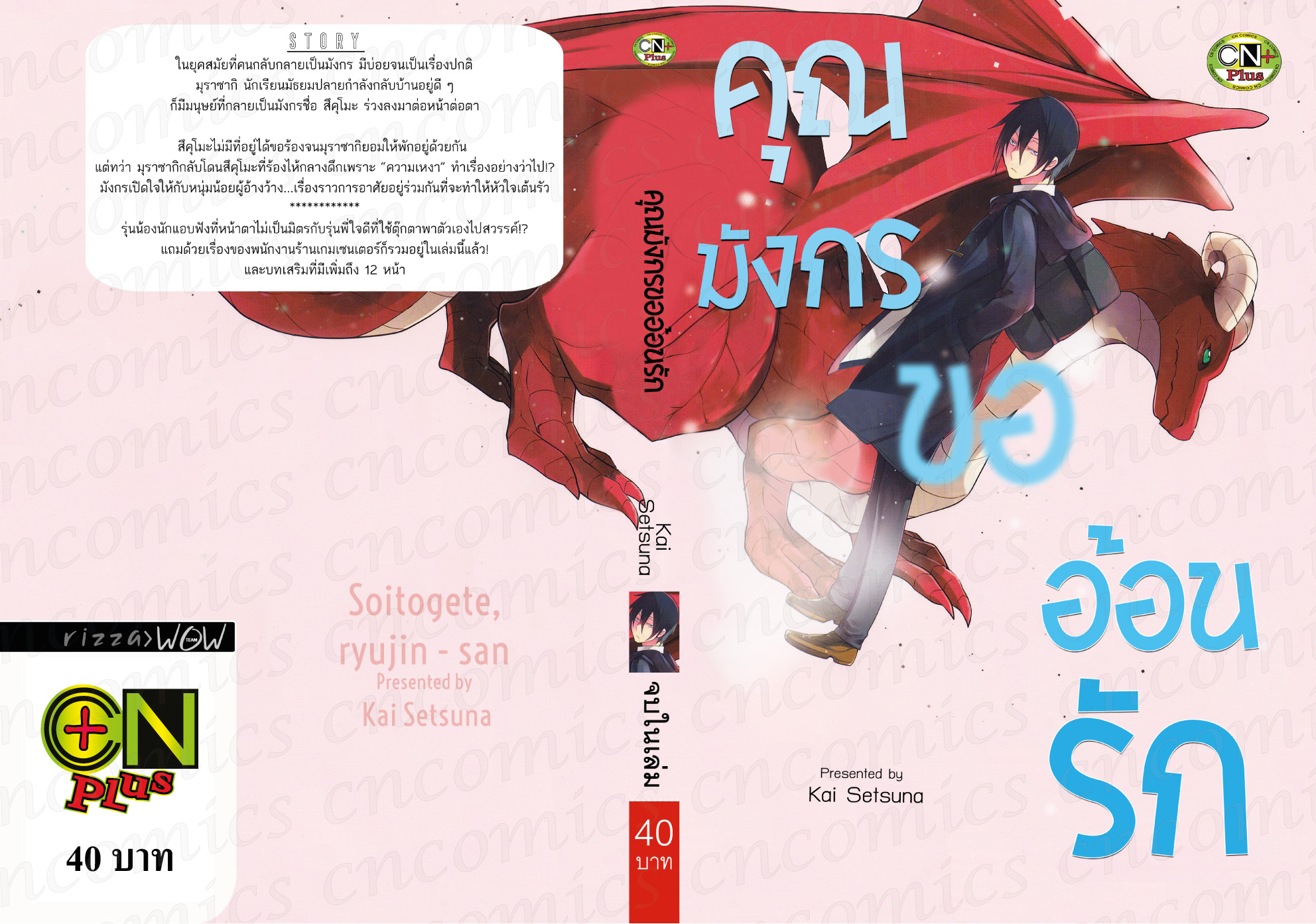 คุณมังกรขออ้อนรัก: Kai Setsuna