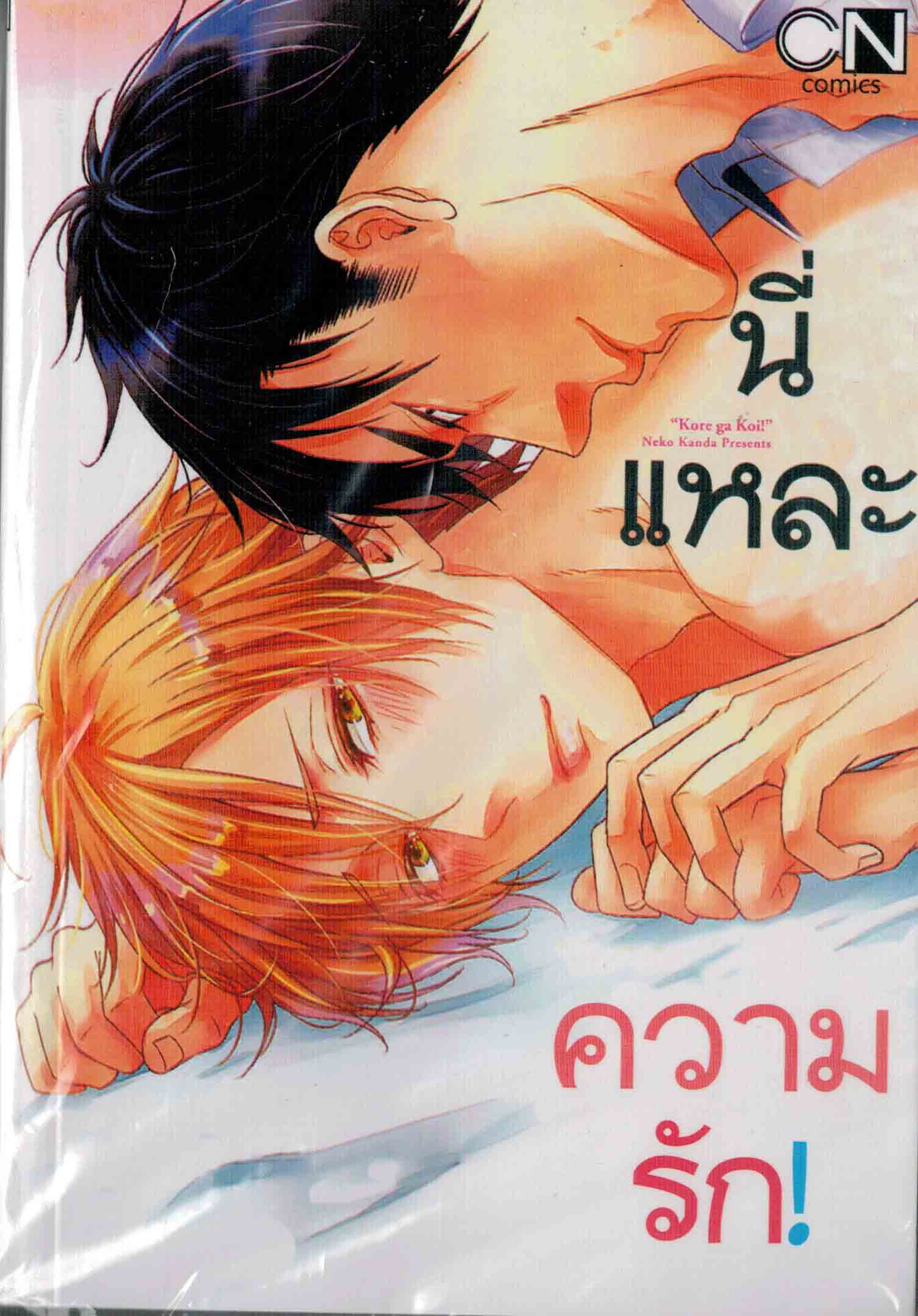 นี่แหละความรัก! : Neko KANDA