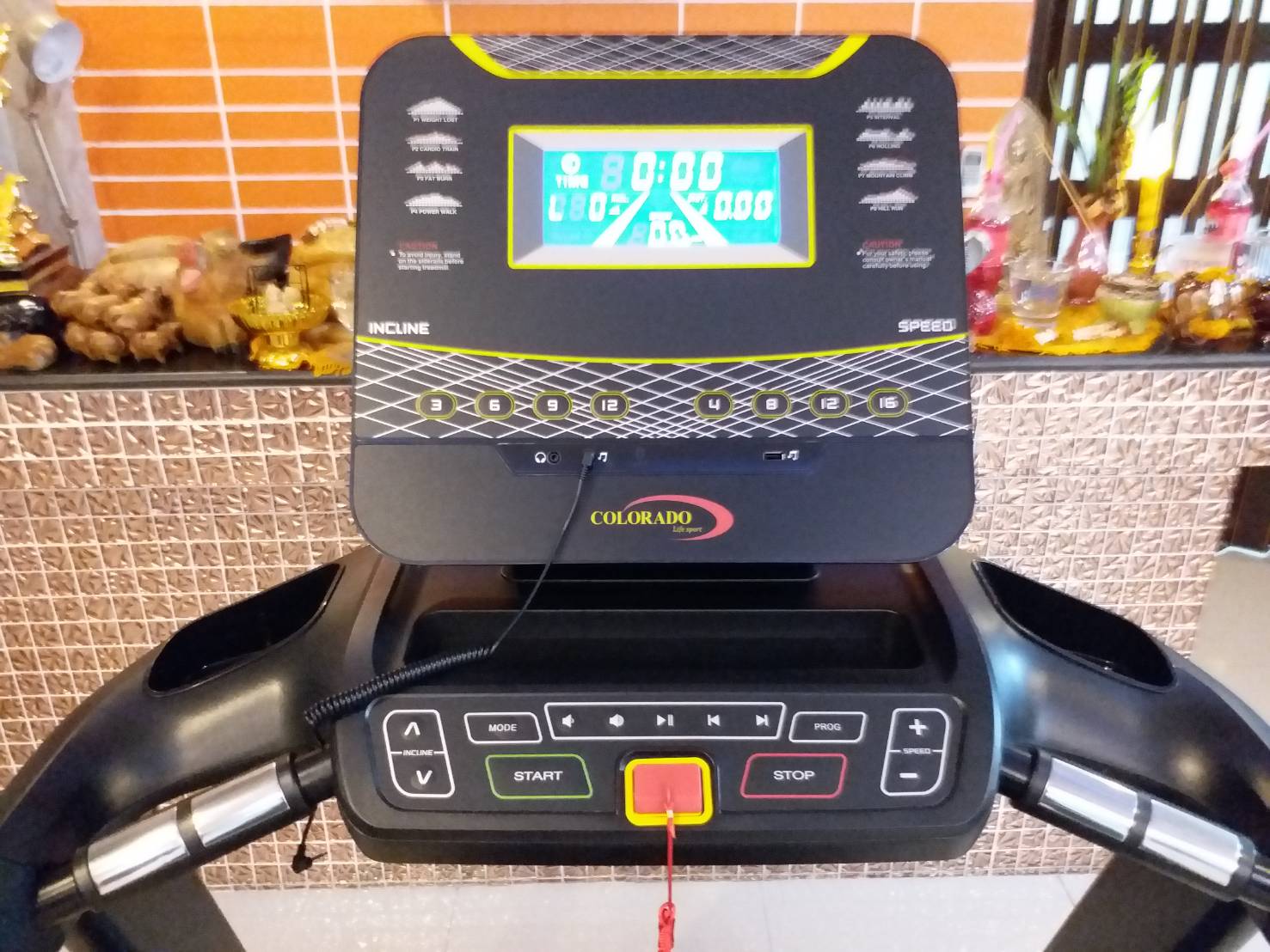 ลู่วิ่งไฟฟ้า Colorado รุ่น 9535 / 5HP Peak