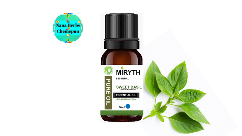 น้ำมันหอมระเหยใบโหระพาแท้ 100 % , SWEET BASIL PURE ESSENTIAL OIL 100% /Italy