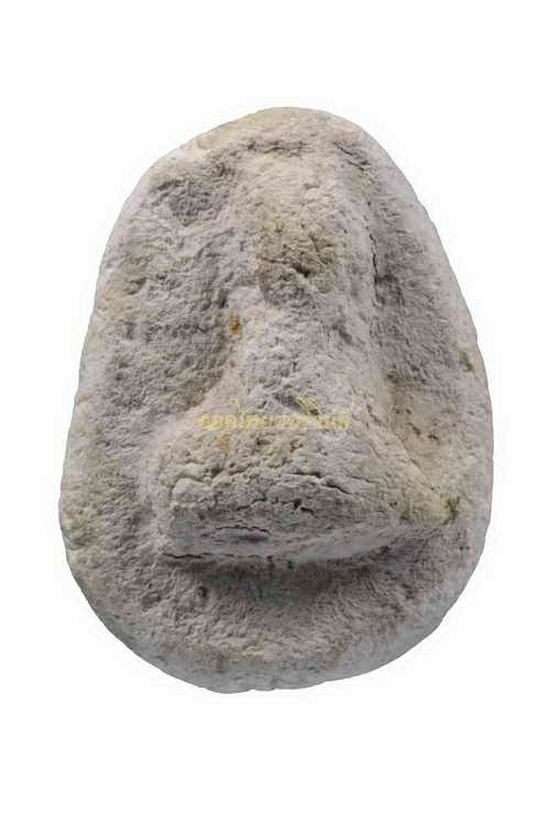 พระไม่ทราบข้อมูล b62071805s1