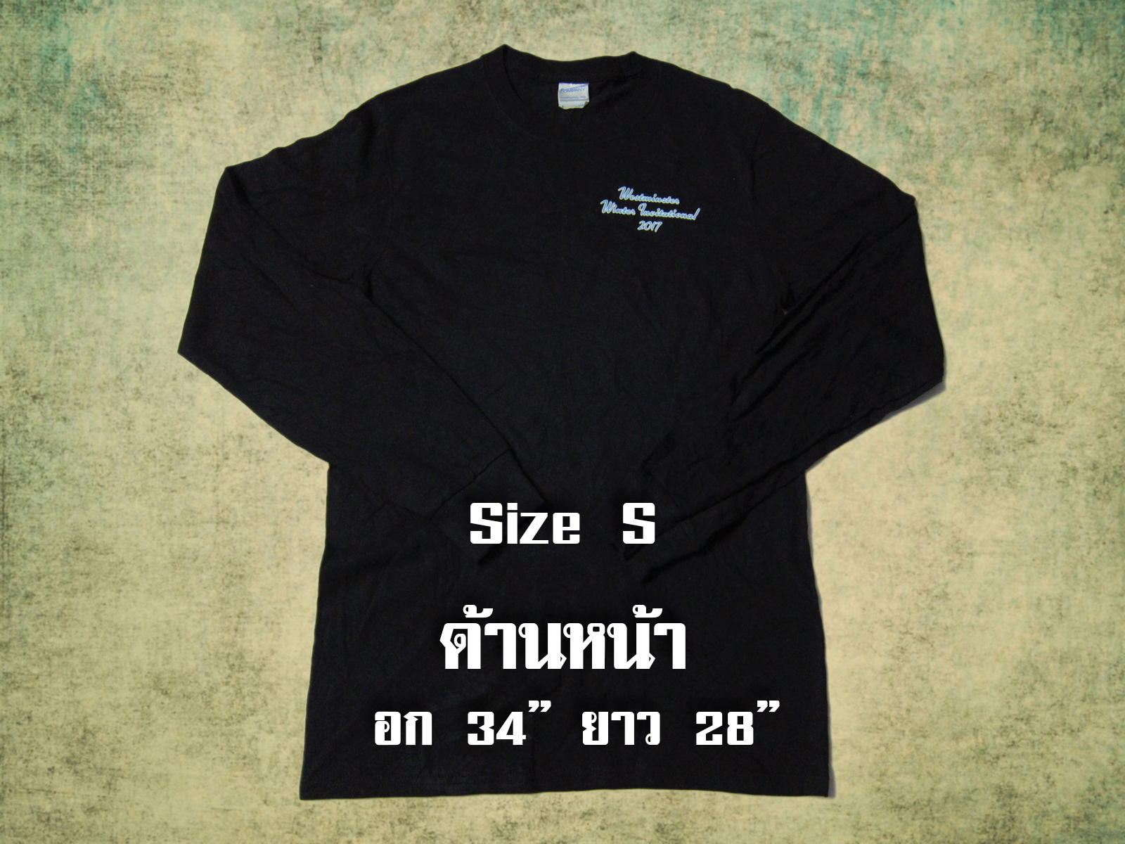เสื้อยืดมือสอง USA แนววินเทจ (แขนยาว)