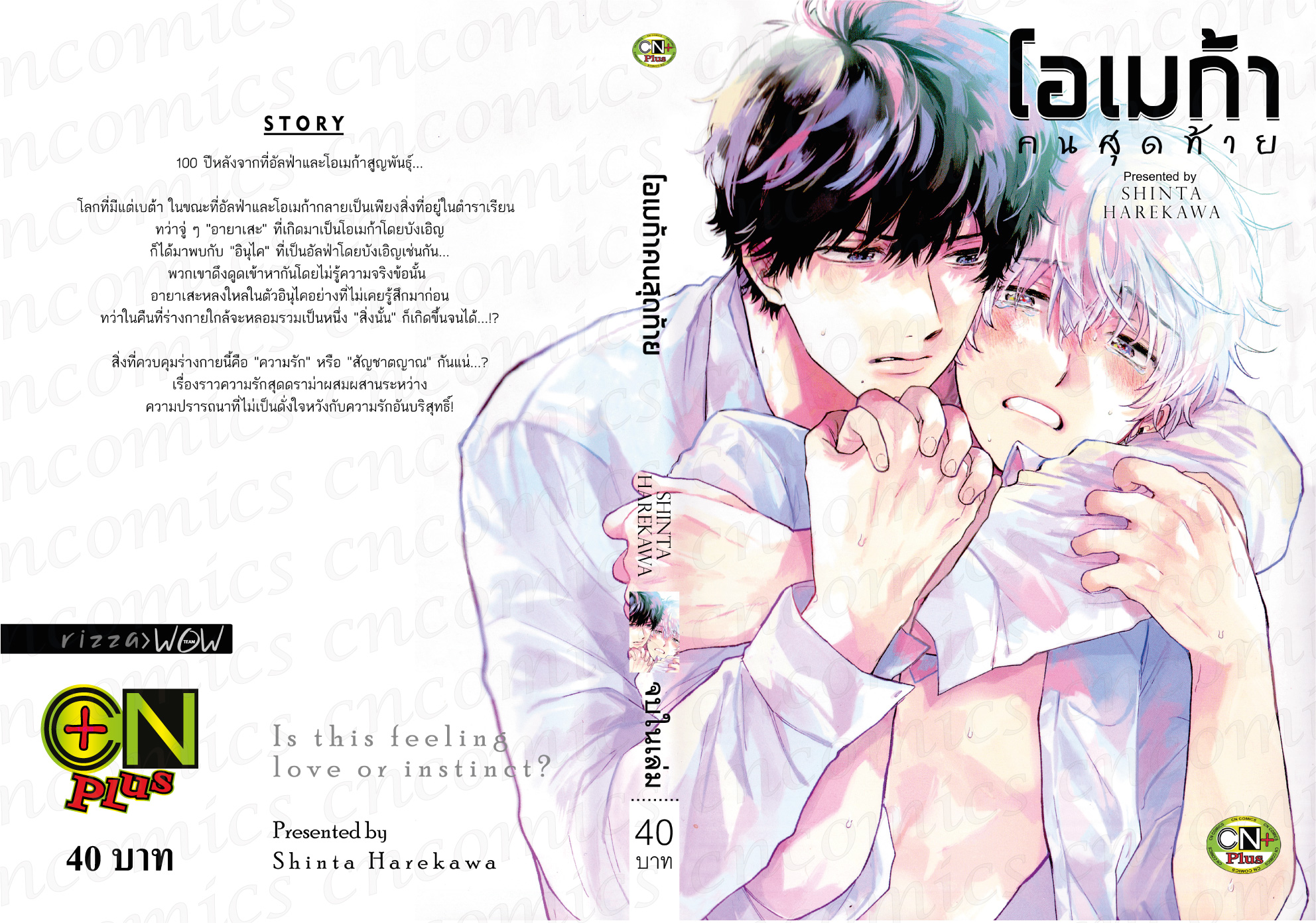 โอเมก้าคนสุดท้าย : SHINTA HAREKAWA