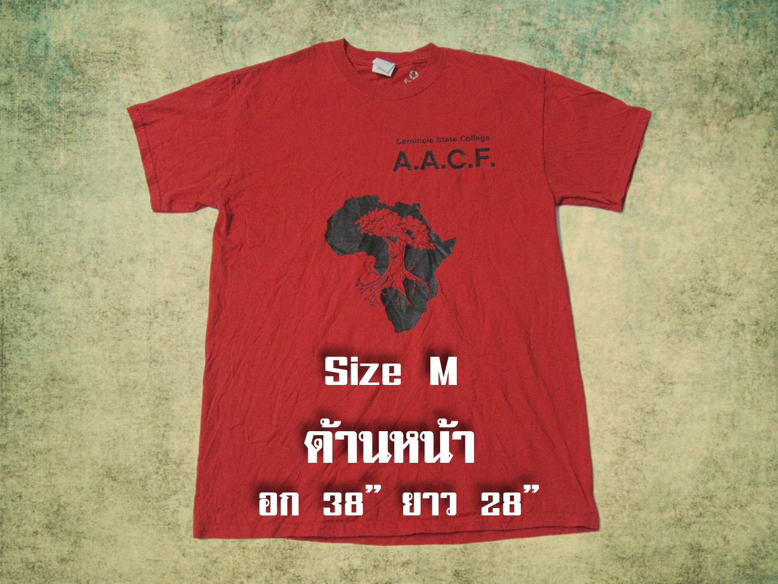 เสื้อยืดมือสอง USA แนววินเทจ (แขนสั้น)