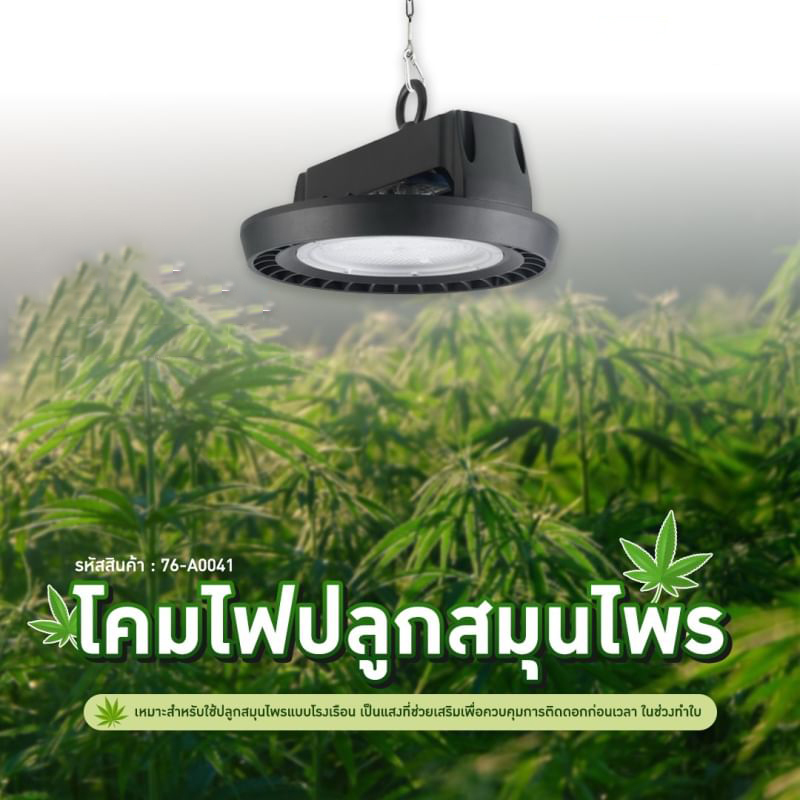 โคมไฮเบย์ปลูกพืช LED