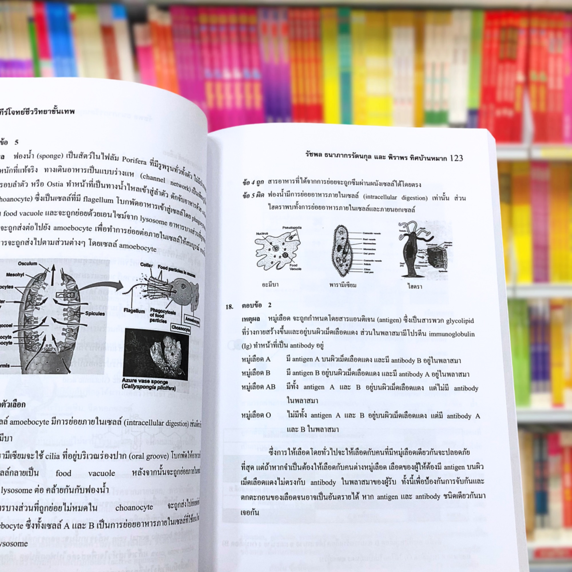 คัมภีร์โจทย์ขั้นเทพ พิชิต A-Level ชีววิทยา : รัชพล ธนาภากรรัตนกุล