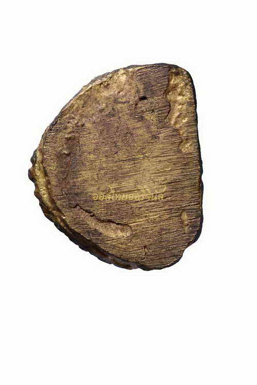 +รูปเหมือนหล่อโบราณรุ่นแรก หลวงปู่ปรง วัดธรรมเจดีย์ เนื้อทองผสม สิงห์บุรี 63050532