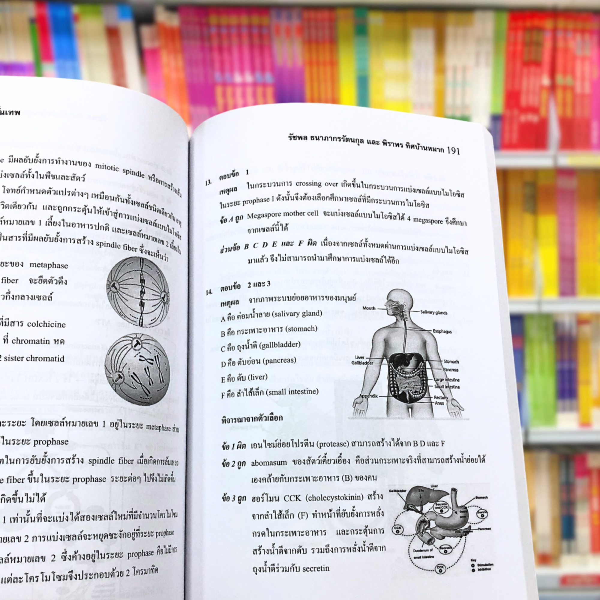 คัมภีร์โจทย์ขั้นเทพ พิชิต A-Level ชีววิทยา : รัชพล ธนาภากรรัตนกุล