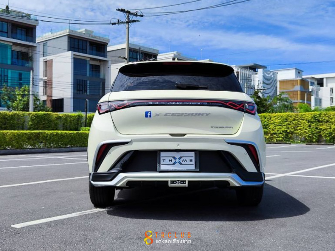 ชุดแต่งรอบคัน X-THEME : BYD DOLPHLIN