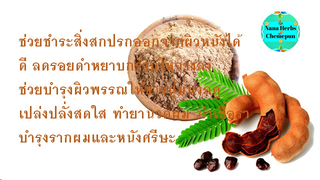 ผงเนื้อมะขาม 100% TAMARIND POWDER