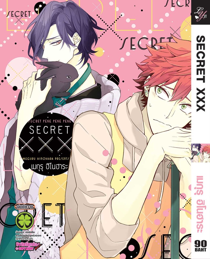 SECRET XXX: เมกุรุ ฮิโนฮาระ (Meguru Hinohara)